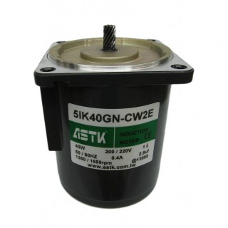 ASTK牌电机型号5IK40GN-CW2E 当天发 额定电压 220V 额定电流 0.4A